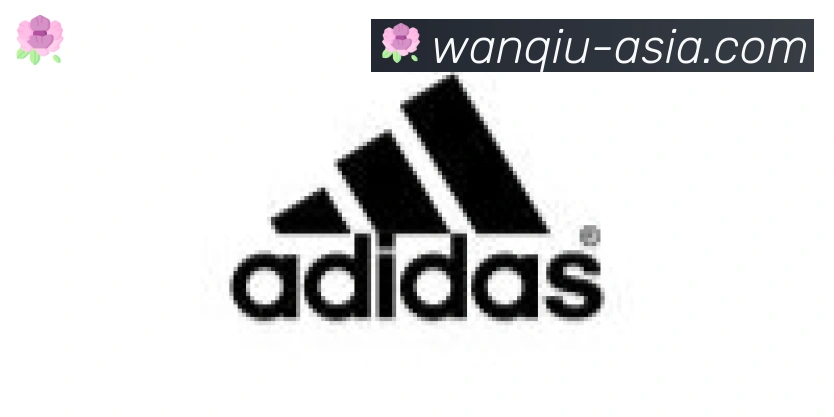 玩球直播合作伙伴